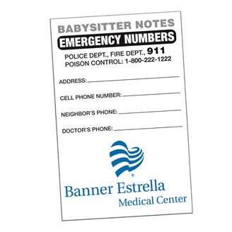 BSND - Babysitter Notes Full Color