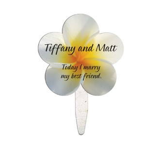 SDMBF-24 - Daisy Seed Stick Mini Hand Fan Full Color