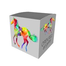 Mini Cube Box 3.75"